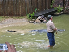 CairnsTC268 Wildlife Habitat